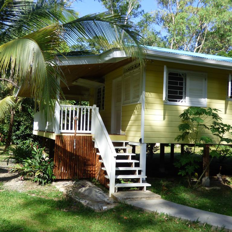 Sand Dollar Beach Bed & Breakfast โบกัสทาวน์ ห้อง รูปภาพ