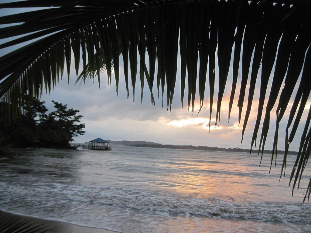 Sand Dollar Beach Bed & Breakfast โบกัสทาวน์ ภายนอก รูปภาพ