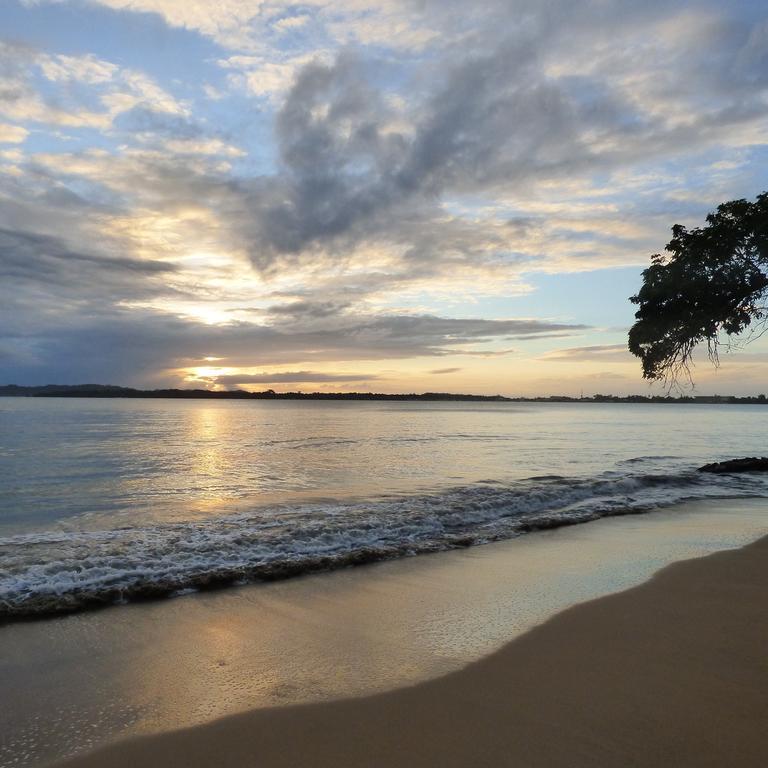 Sand Dollar Beach Bed & Breakfast โบกัสทาวน์ ภายนอก รูปภาพ