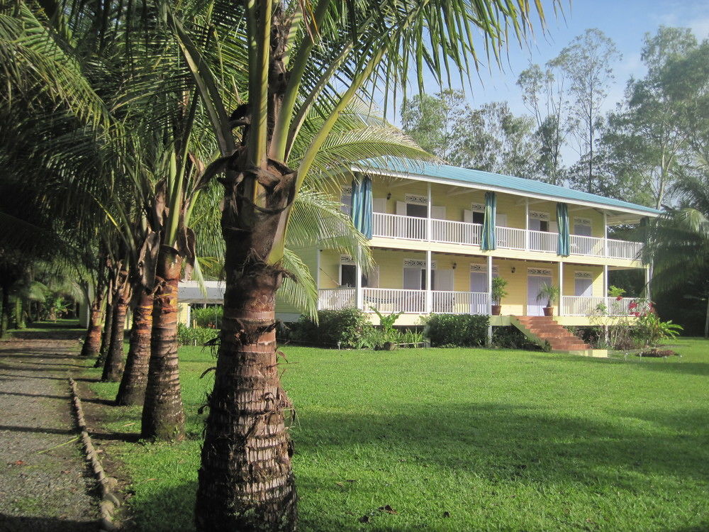 Sand Dollar Beach Bed & Breakfast โบกัสทาวน์ ภายนอก รูปภาพ