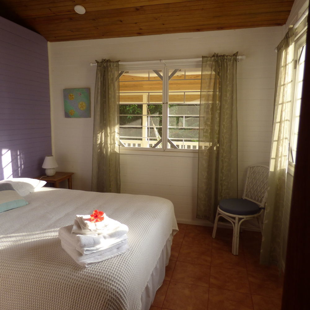 Sand Dollar Beach Bed & Breakfast โบกัสทาวน์ ภายนอก รูปภาพ