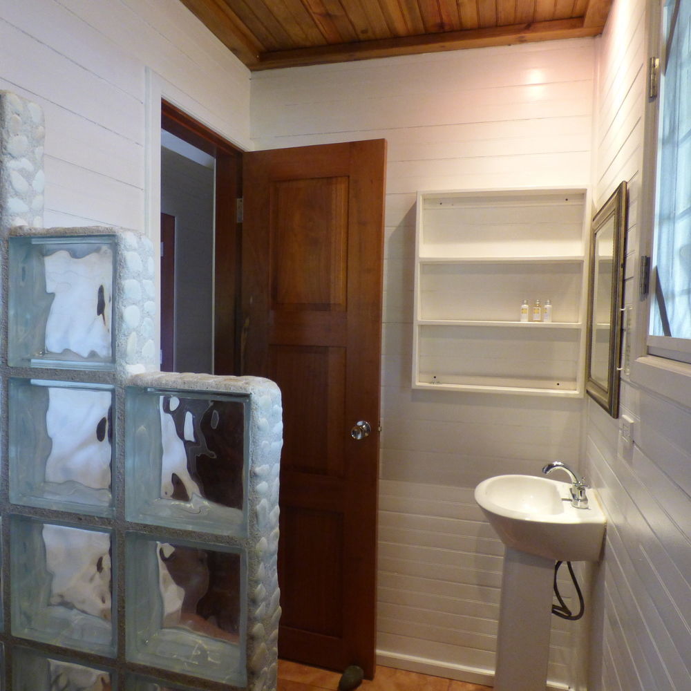 Sand Dollar Beach Bed & Breakfast โบกัสทาวน์ ภายนอก รูปภาพ