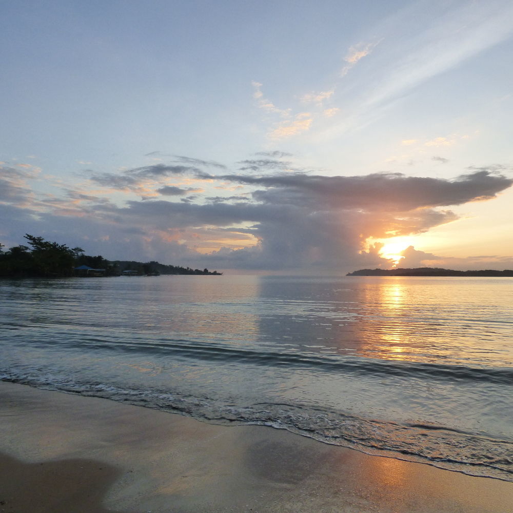 Sand Dollar Beach Bed & Breakfast โบกัสทาวน์ ภายนอก รูปภาพ
