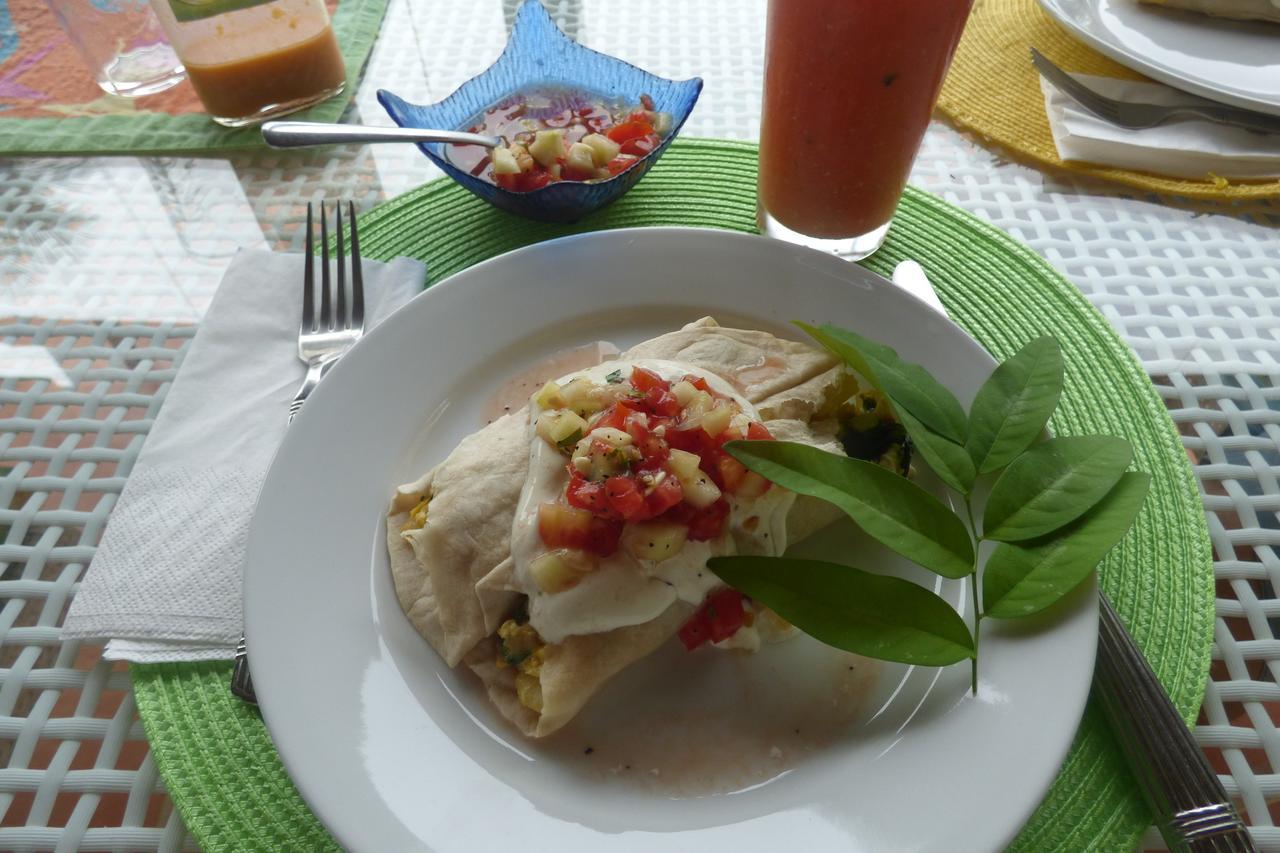 Sand Dollar Beach Bed & Breakfast โบกัสทาวน์ ภายนอก รูปภาพ